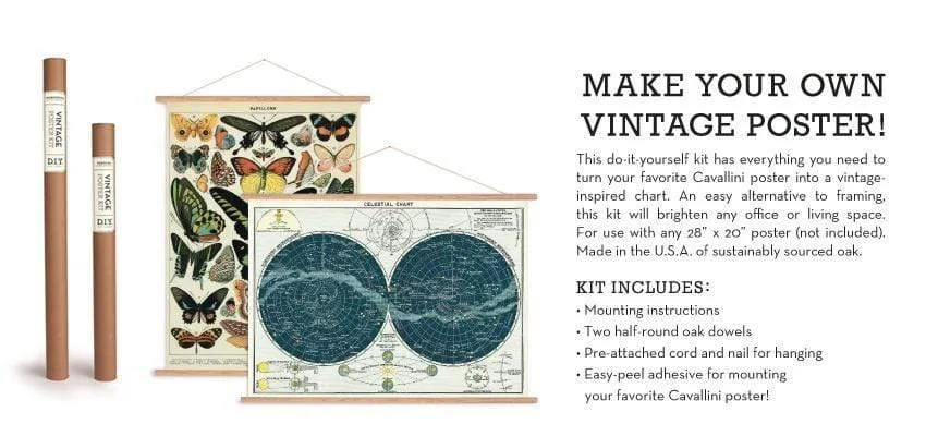Cavallini & Co Horizontal Poster Kit