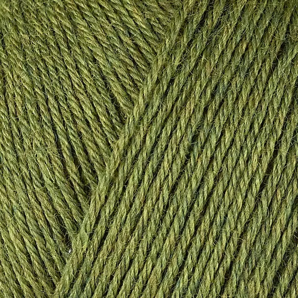 Gina Kit (Fennel 12069)