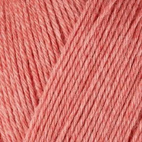 Gina Kit (Guava 12077)