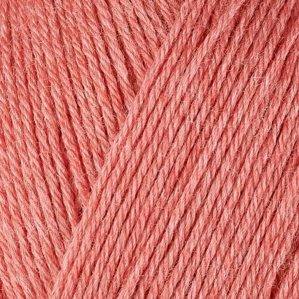 Gina Kit (Guava 12077)