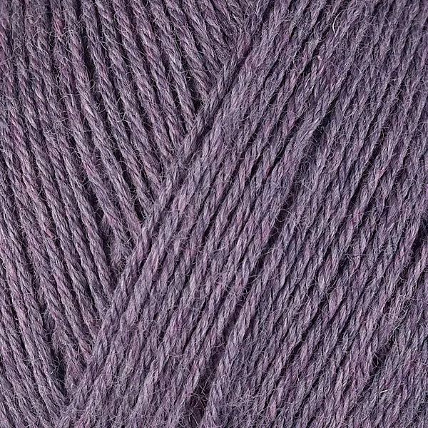 Gina Kit (Lilacs 12073)
