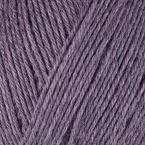 Gina Kit (Lilacs 12073)