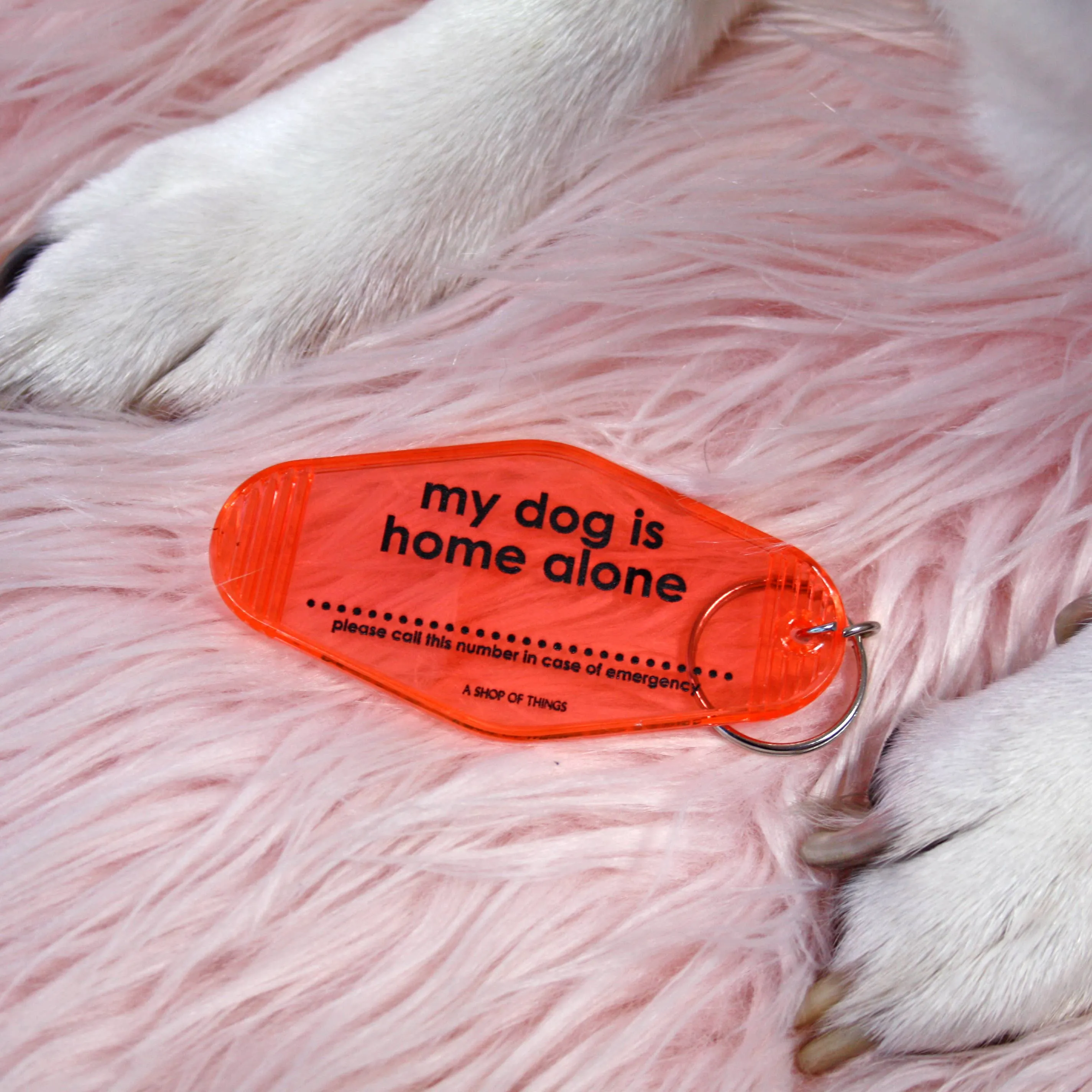 My Dog is Home Alone Keychain