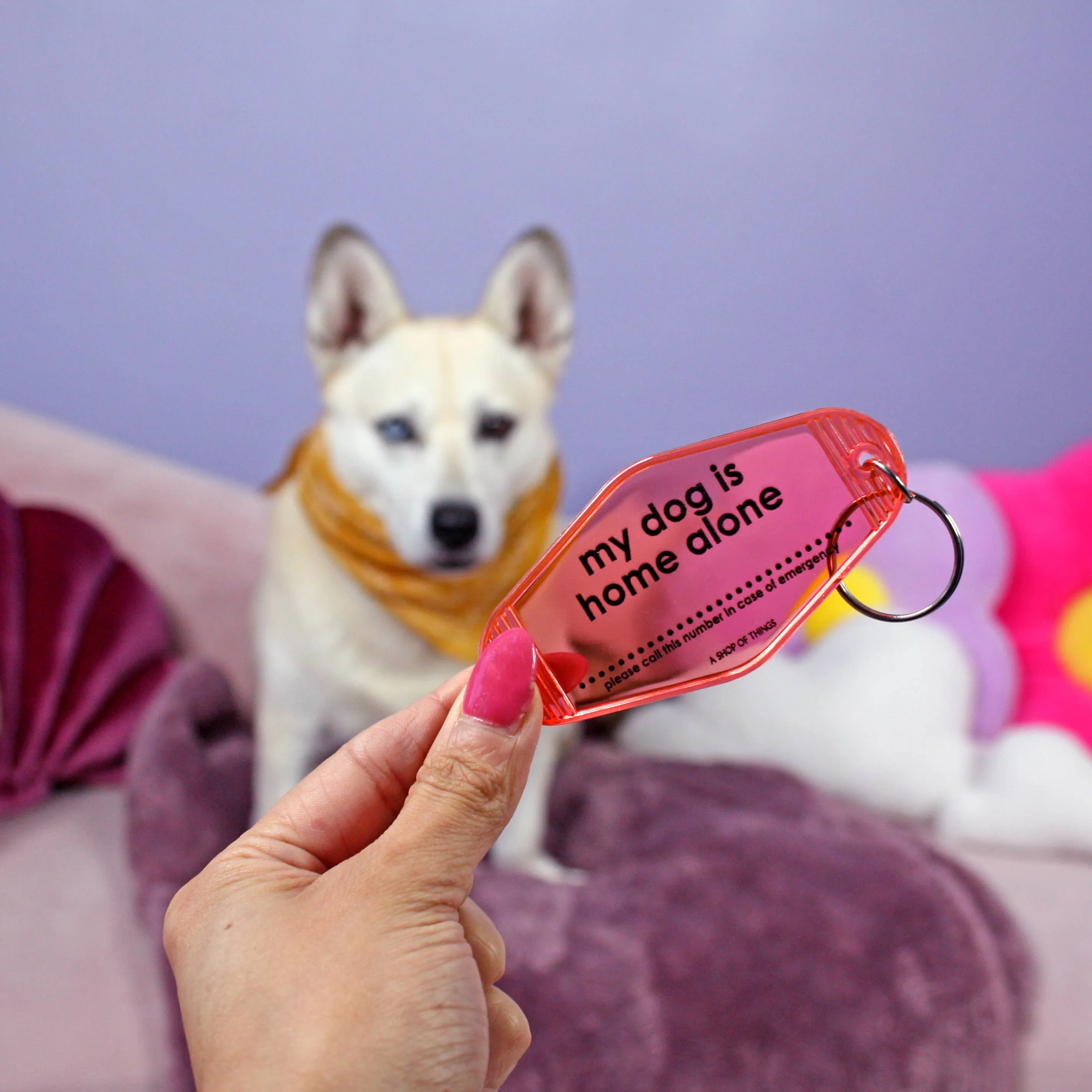 My Dog is Home Alone Keychain