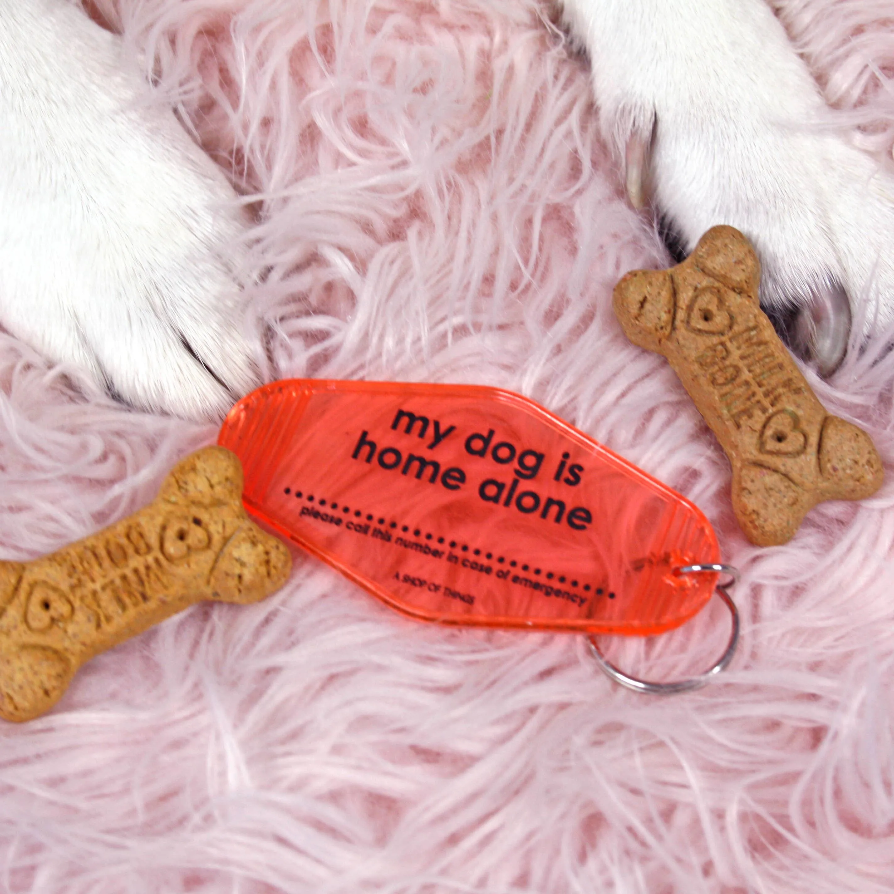 My Dog is Home Alone Keychain